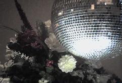 VA Wedding DJ and More